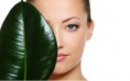 /album/fotogalerie-chemicky-peeling/holka-list-foto-ch-p-jpg/